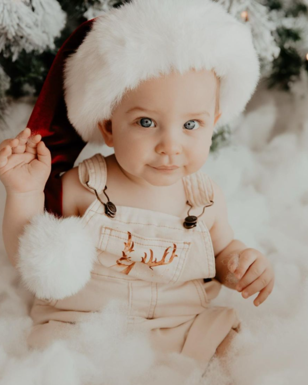 Christmas Reindeer Overalls | Bohemian Bright