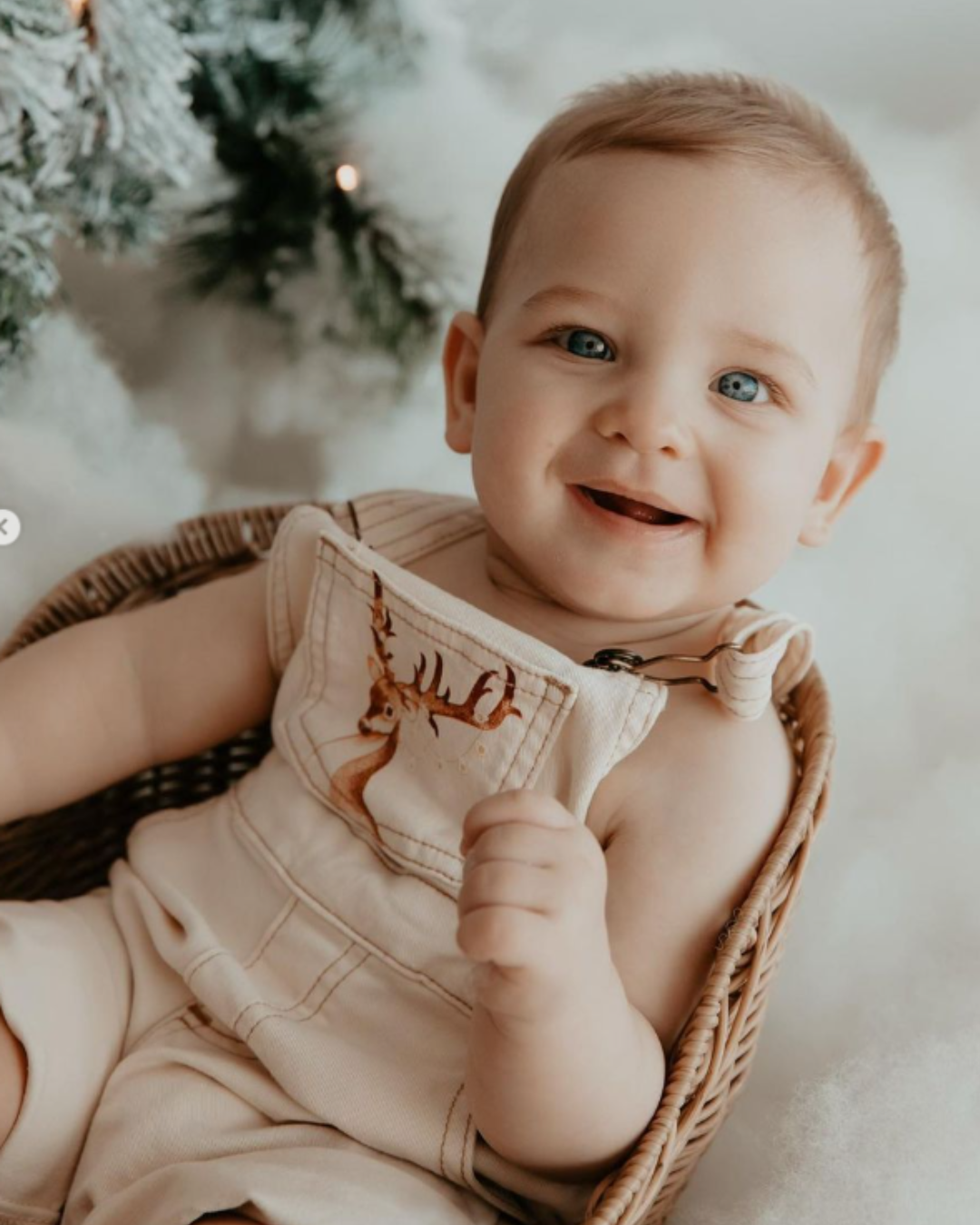 Christmas Reindeer Overalls | Bohemian Bright